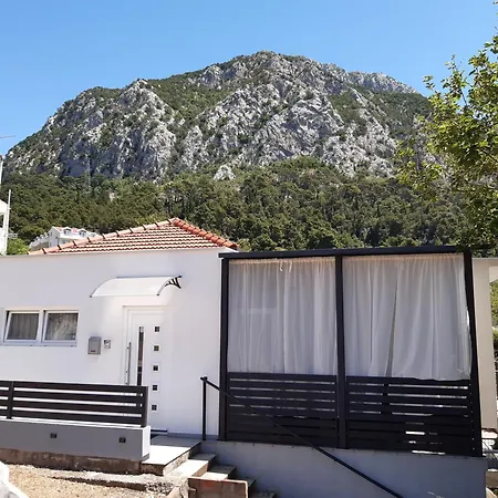 Nino * Gradac (Split-Dalmatia)